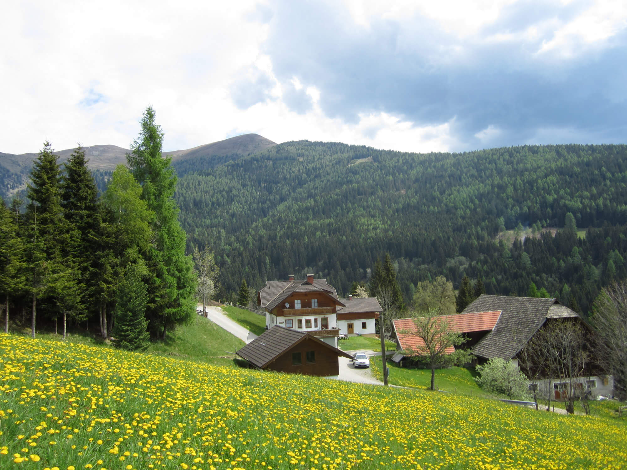 Frühlingsansicht auf den Hof